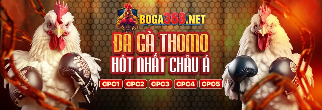 Banner quảng cáo khuyến mãi thể thao hấp dẫn của KJC